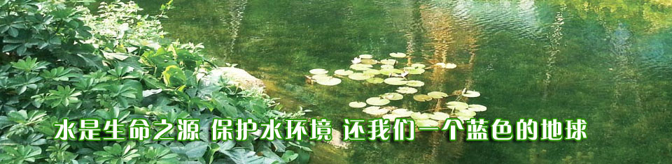 鑫龍水環(huán)境治理有限公司